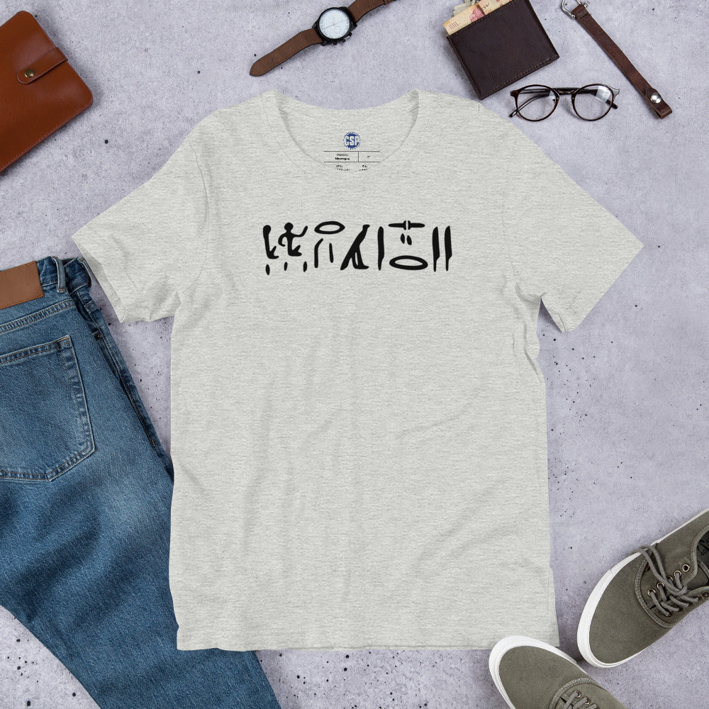 New CSP Hieroglyphics T: Ancient Swag, Everyday Style