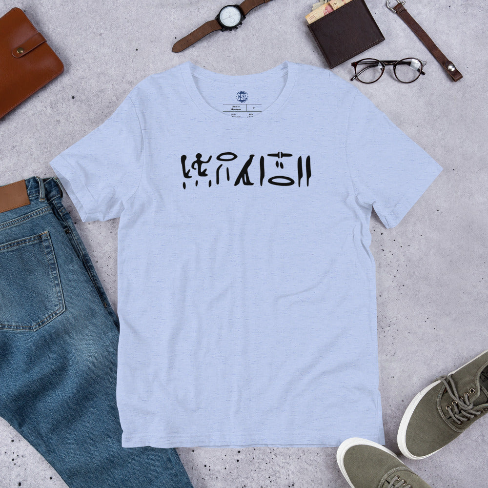 New CSP Hieroglyphics T: Ancient Swag, Everyday Style