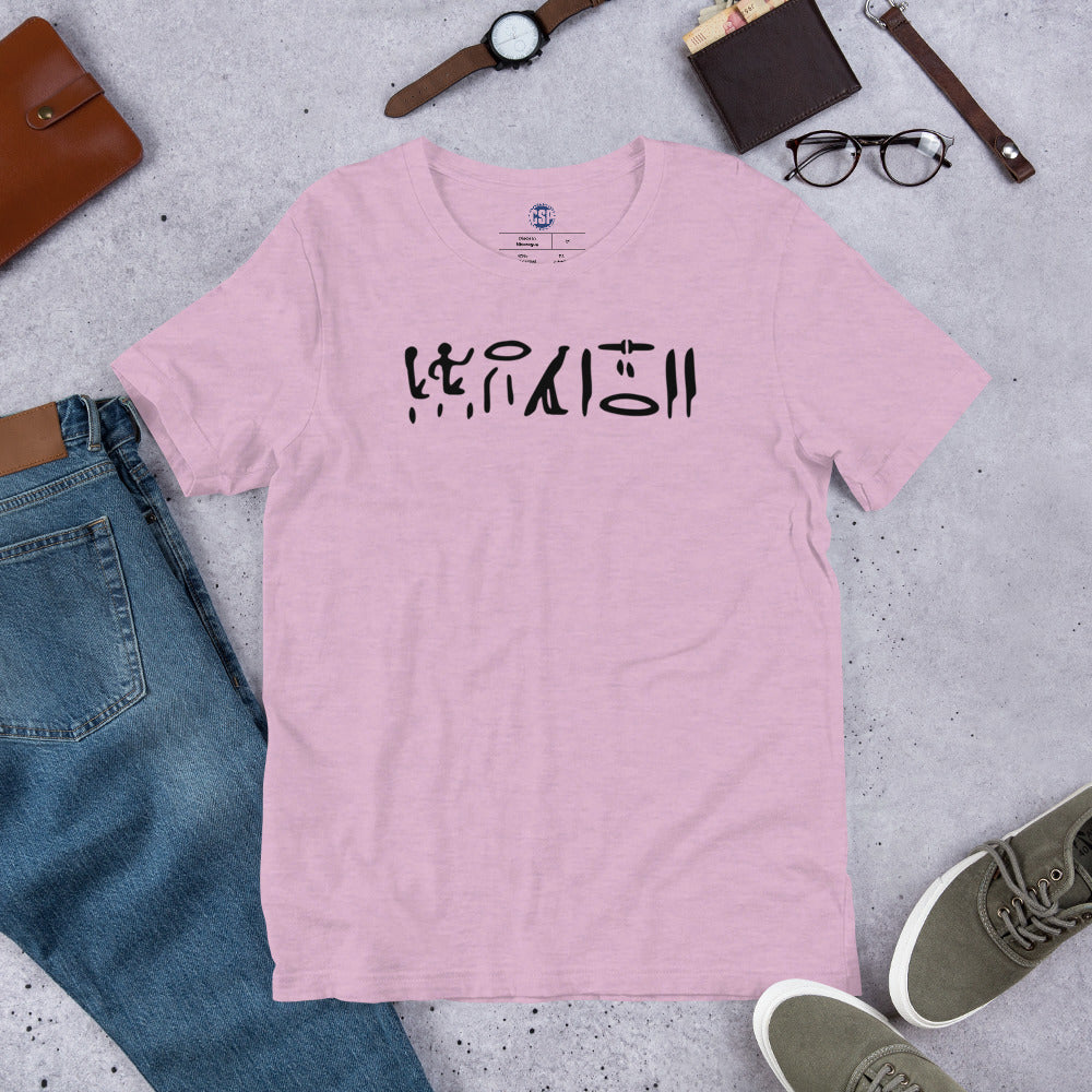 New CSP Hieroglyphics T: Ancient Swag, Everyday Style