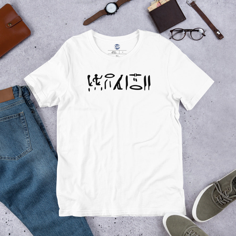 New CSP Hieroglyphics T: Ancient Swag, Everyday Style