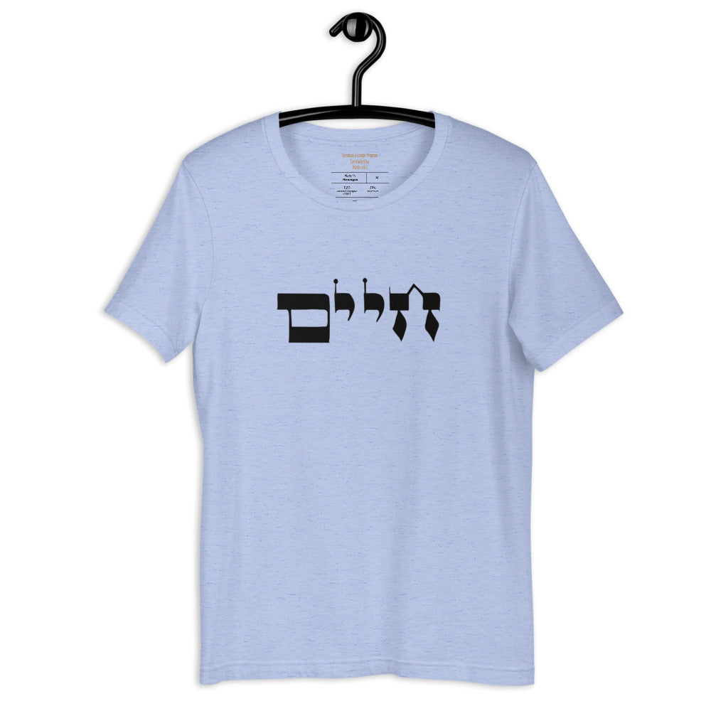 Torah Word T - "Chaim" (Short-Sleeve Unisex T-Shirt)